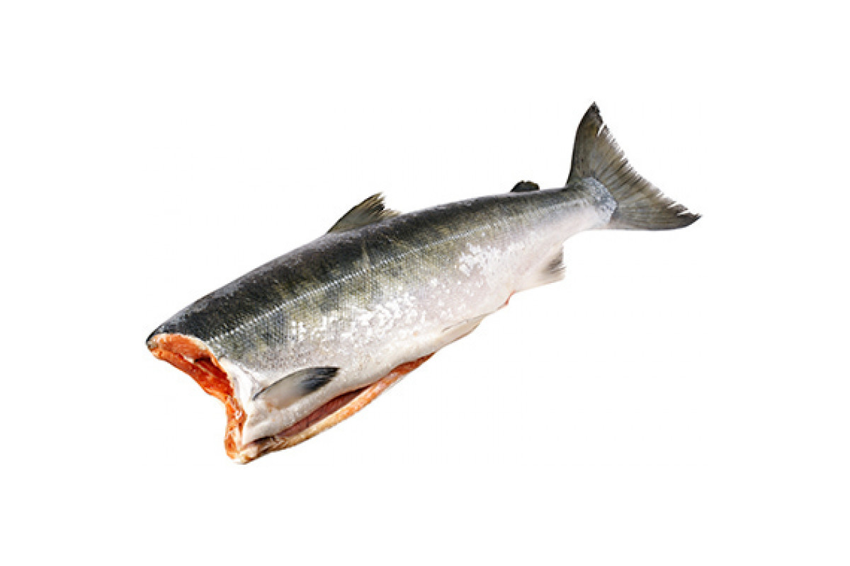 Кижуч потрошеный без головы